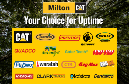 milton cat is your choice for uptime