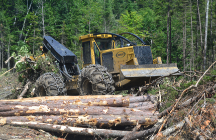 Lindex Chipping Systems • Lindsay Forest Products